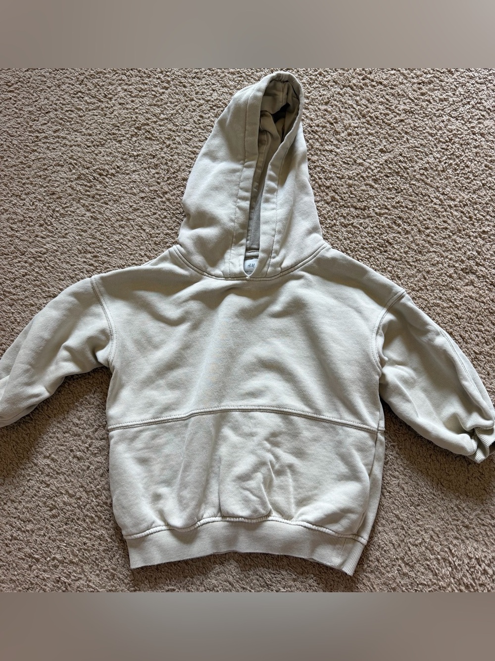 H&M Toddler Boys Washed Hoodie size 4T